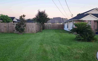 Photo of Monica H.'s yard after getting lawn care in Marrero, LA