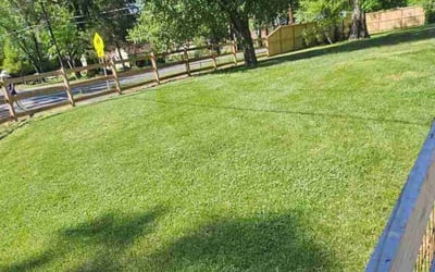 Photo of Susan K.'s yard after getting lawn care in Spotsylvania, VA