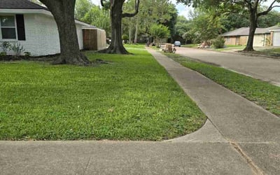 Photo of Teresa L.'s yard after getting lawn care in Weslaco, TX