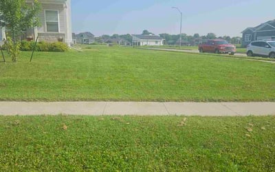 Photo of Ashley E.'s yard after getting lawn care in Bellwood, IL