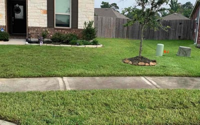 Photo of Dianne S.'s yard after getting lawn care in Porter, TX