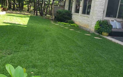 Photo of David T.'s yard after getting lawn care in Honolulu, HI