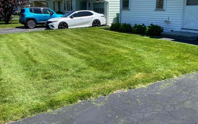 Photo of Ofer M.'s yard after getting lawn care in Gates, NY