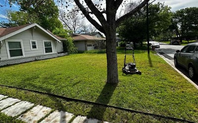 Photo of Lina C.'s yard after getting lawn care in Abilene, TX