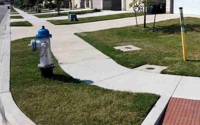 Photo of George I.'s yard after getting lawn care in Liberty Hill, TX