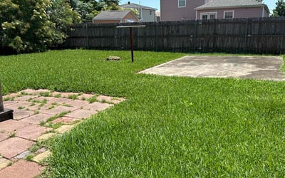 Photo of Sandra S.'s yard after getting lawn care in Pineville, LA