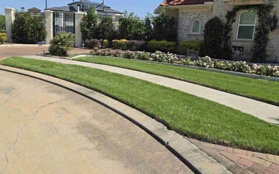 Photo of Ameila C.'s yard after getting lawn care in Richmond, TX