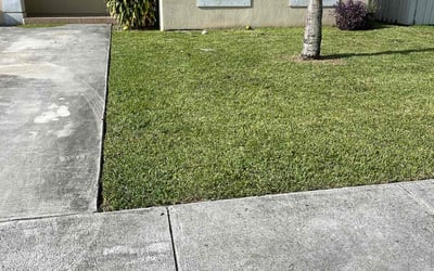 Photo of Lamarcus F.'s yard after getting lawn care in Longview, TX