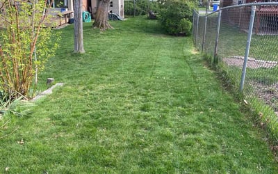 Photo of Vanessa J.'s yard after getting lawn care in Ogden, UT