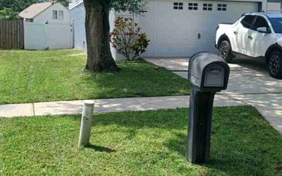 Photo of Matthew R.'s yard after getting lawn care in North Hills, CA