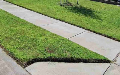 Photo of Clint R.'s yard after getting lawn care in Aubrey, TX
