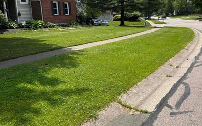 Photo of Daniel P.'s yard after getting lawn care in Loveland, OH