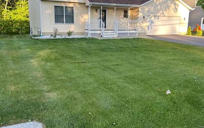 Photo of Danielle S.'s yard after getting lawn care in San Antonio, TX