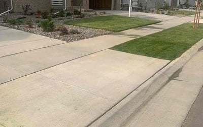 Photo of Robin R.'s yard after getting lawn care in Longmont, CO