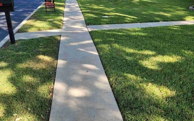 Photo of Rachel S.'s yard after getting lawn care in San Antonio, TX