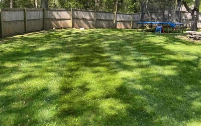 Photo of Pam O.'s yard after getting lawn care in Rockville, MD