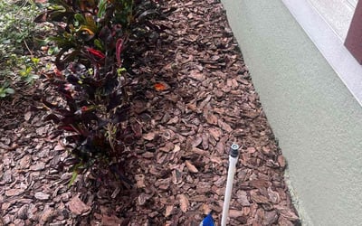 Photo of Pamela P.'s yard after getting lawn care in West Roxbury, MA