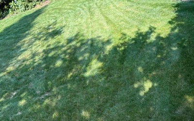 Photo of Don V.'s yard after getting lawn care in North Providence, RI