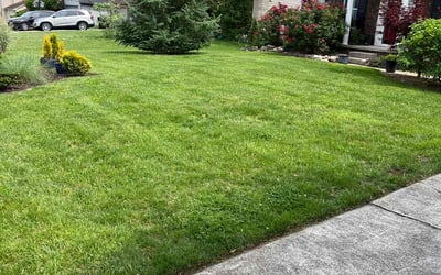 Photo of Mary G.'s yard after getting lawn care in Farragut, TN