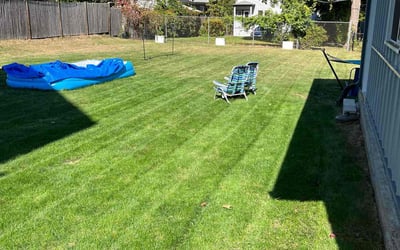 Photo of Chuck M.'s yard after getting lawn care in Chelsea, MA