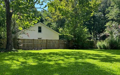 Photo of Tanya B.'s yard after getting lawn care in Williamston, SC