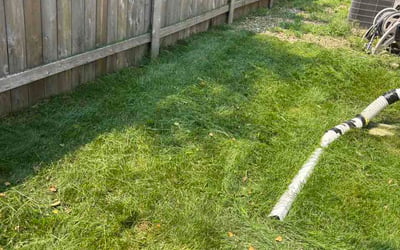 Photo of Aaron T.'s yard after getting lawn care in Locust Grove, GA