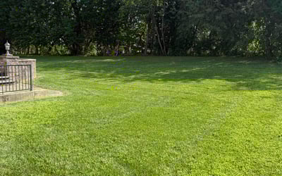 Photo of James M.'s yard after getting lawn care in Pensacola, FL