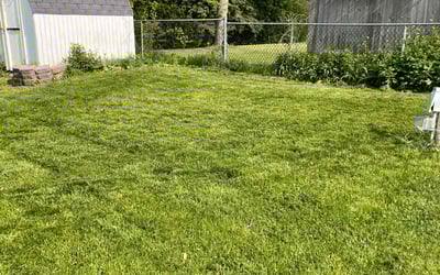 Photo of Steve S.'s yard after getting lawn care in Fleming Island, FL