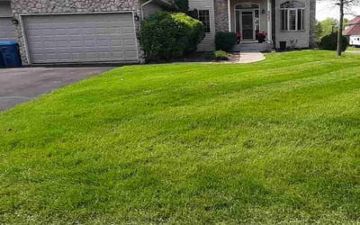 Photo of Marshelle W.'s yard after getting lawn care in Forest Lake, MN