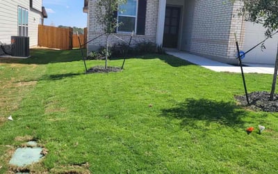 Photo of Melissa D.'s yard after getting lawn care in San Antonio, TX