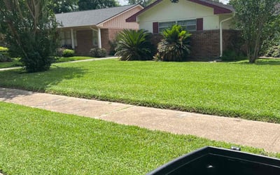 Photo of Beth H.'s yard after getting lawn care in Sweeny, TX