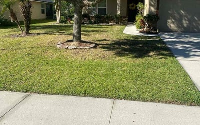 Photo of Bo D.'s yard after getting lawn care in Clinton, MS