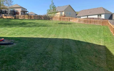 Photo of Laura C.'s yard after getting lawn care in Kansas City, MO