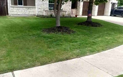 Photo of Michelle R.'s yard after getting lawn care in Parlin, NJ