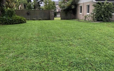 Photo of Jackson P.'s yard after getting lawn care in Lakeland, FL