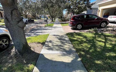 Photo of Rachael T.'s yard after getting lawn care in Groveland, FL