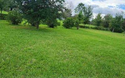 Photo of Carl P.'s yard after getting lawn care in Hazlet, NJ