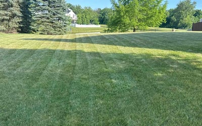 Photo of Michael M.'s yard after getting lawn care in Shelbyville, IN