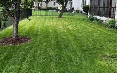 Photo of Marisa M.'s yard after getting lawn care in York, PA