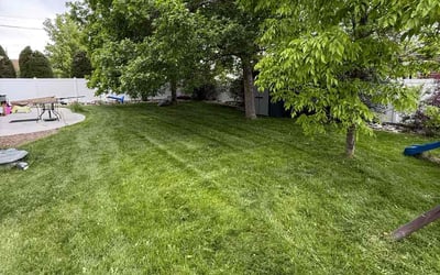 Photo of Angela L.'s yard after getting lawn care in Florence, SC