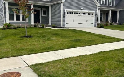 Photo of Michael J.'s yard after getting lawn care in Oakville, MO