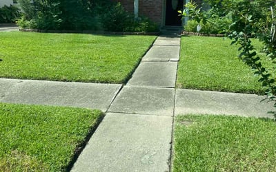 Photo of Patrick O.'s yard after getting lawn care in West Warwick, RI