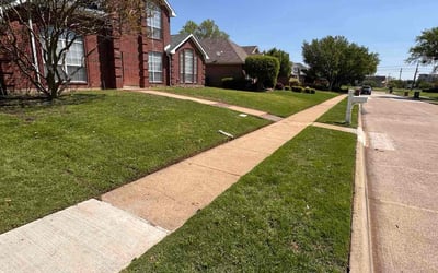 Photo of Latonya J.'s yard after getting lawn care in Lewisville, TX