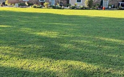 Photo of CLIFTON B.'s yard after getting lawn care in Harvest, AL