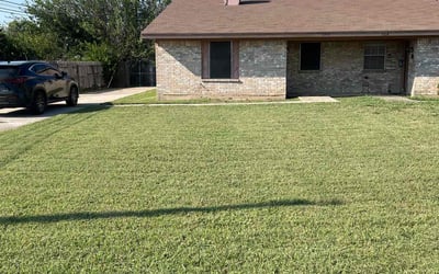 Photo of Kevin V.'s yard after getting lawn care in North Richland Hills, TX