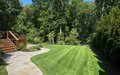 Photo of Mike F.'s yard after getting lawn care in Lexington, NC