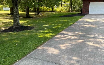 Photo of Brandon C.'s yard after getting lawn care in Struthers, OH