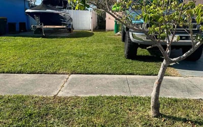 Photo of Tina P.'s yard after getting lawn care in Merritt Island, FL