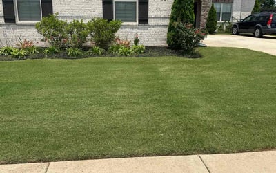 Photo of Angela F.'s yard after getting lawn care in Parma, OH