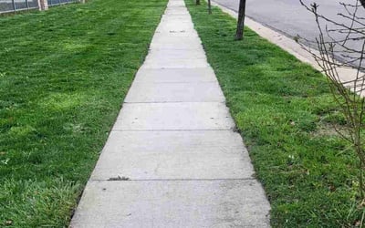 Photo of Zach H.'s yard after getting lawn care in Kaysville, UT